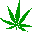 hanfblatt.gif (162 Byte)